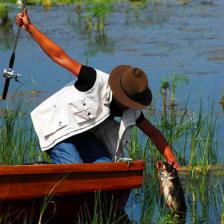 Fishing in Danube Delta