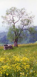 Landscape from Transylvania