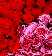 Valentine's Day in Transylvania