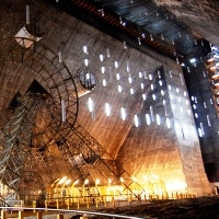 Salt Mines- compelled to take a mirror reflection test